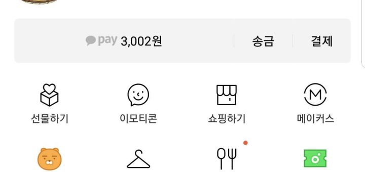 카카오페이 내보내기